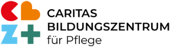 logo-cabize-head2