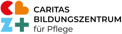 logo-cabize-head2